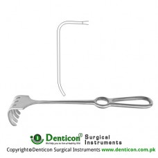 Israel Retractor 7 Blunt Prongs Stainless Steel, 25.5 cm - 10" Blade Size 70 x 70 mm